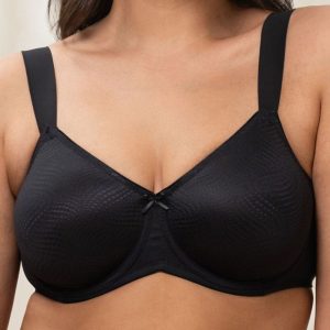 Soft model 230706 Triumph